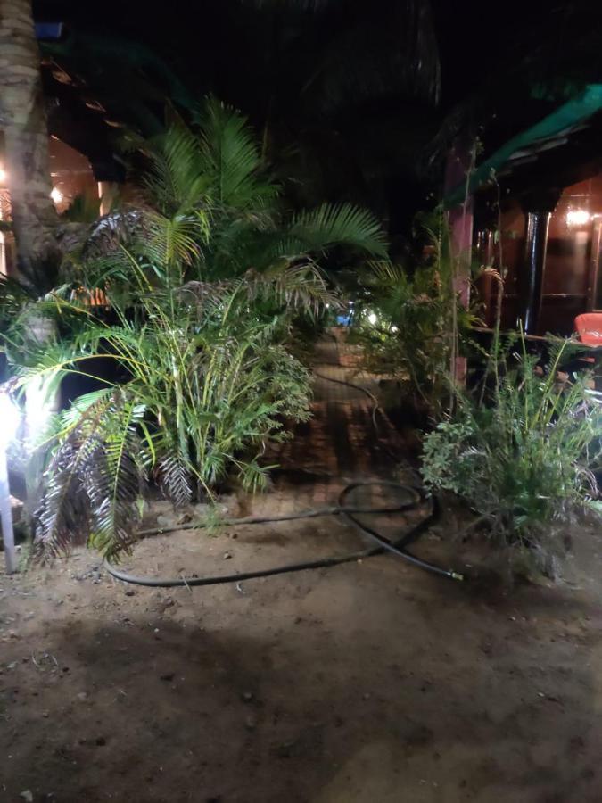 ホテル Casa Fiesta パロレム エクステリア 写真